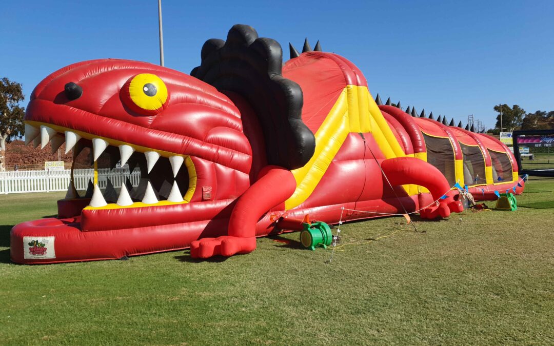 Frill Neck Lizard Obstacle Course