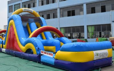 Warrior Slide Darwin